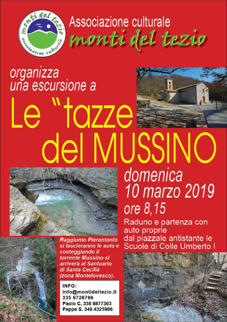 thumbnail of Escursione Le tazze del Mussino domenica 10 marzo 2019