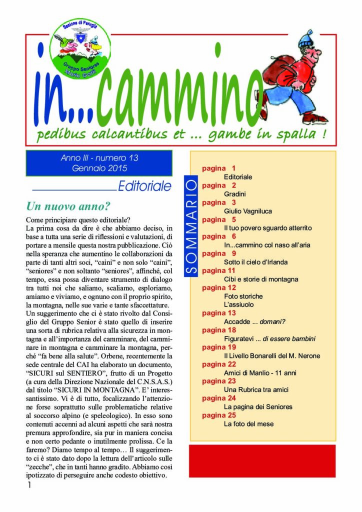 thumbnail of In…Cammino n.13