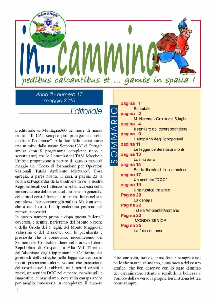 thumbnail of In…Cammino n.17