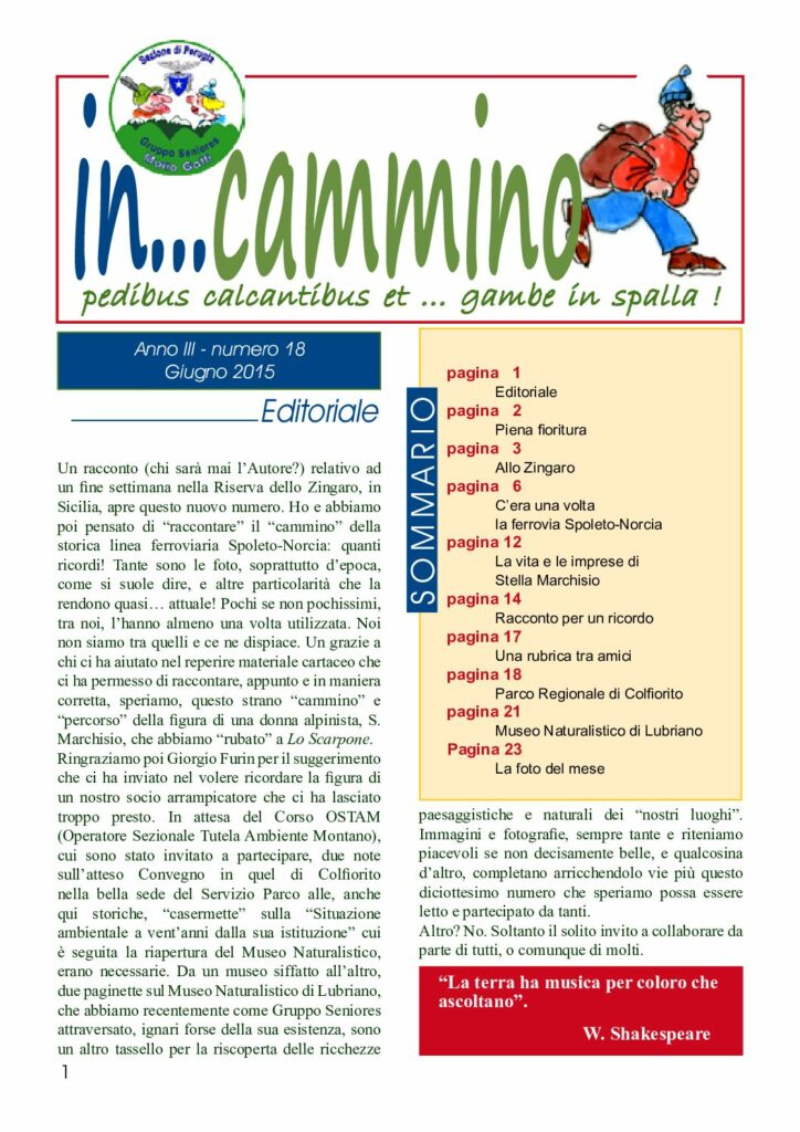 thumbnail of In…Cammino n.18