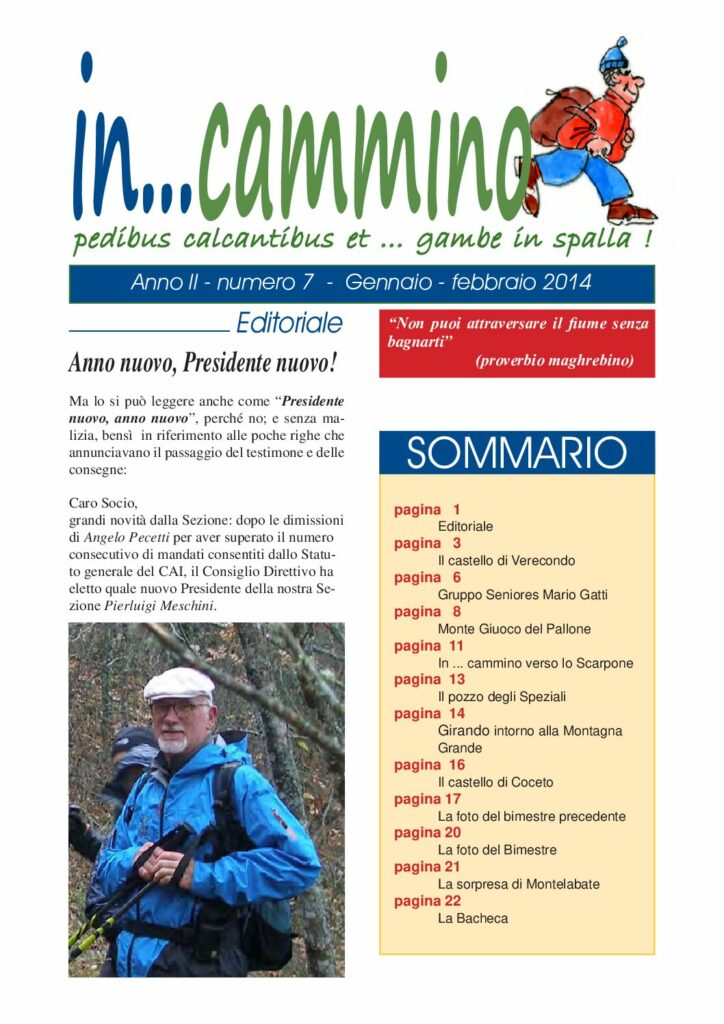 thumbnail of In…Cammino n.7 br