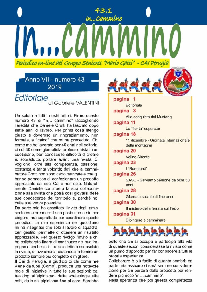 thumbnail of In…Cammino-n43